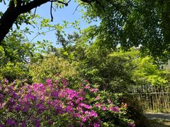 -桃花岛景观公园