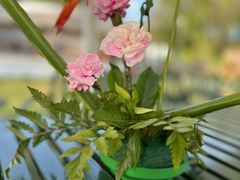 -圣露庄园·露营·烤肉·亲子