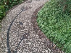-东风公园