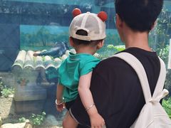 -昆明动物园