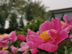 -盛世南宫影视城(北普陀影视城)