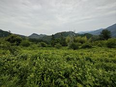 -黄山翡翠谷景区