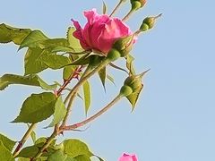 -太阳宫公园
