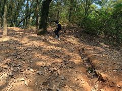 -青龙山国家森林公园