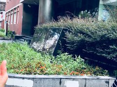 -同济大学附属口腔医院