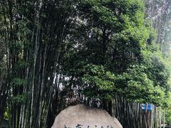 -成都杜甫草堂博物馆