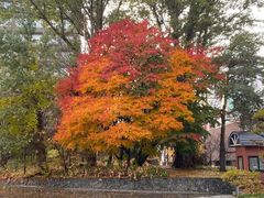 -北海道厅旧本厅舍(旧本庁舎)
