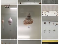 -青岛贝壳博物馆
