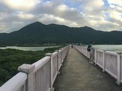 -大澳
