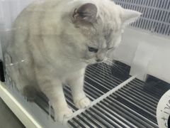 -艾贝尔宠物医院 ·中兽医·宠保定点(北门桥店)