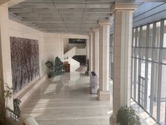 -北京大学百年讲堂