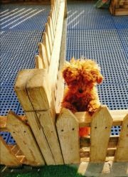 -萌宠亲子动物乐园(槐房万达店)