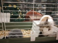 -乌龙爬宠部落(信和购物广场店)