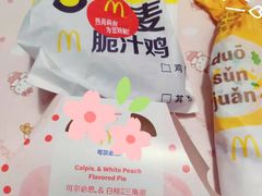 麦麦脆汁鸡鸡腿-麦当劳(杭州西湖银泰百货店)
