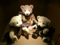 -济州岛泰迪熊博物馆