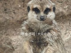 -正佳雨林生态植物园