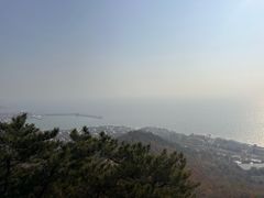 -石老人观光园