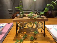 -ZING COFFEE 镜咖啡