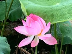 -千龙湖生态旅游度假区