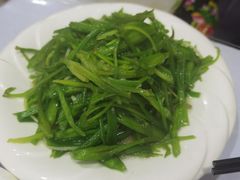 -泸沽肴(泸沽湖大洛水村农村信用社旁店)