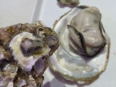 -杨氏青龙虾·羊蝎子(托乐嘉店)