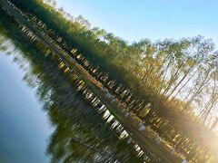 -东郊湿地公园