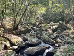 -燕子河大峡谷天坑仙境