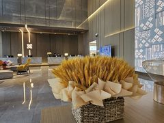 -深圳光明希尔顿花园酒店