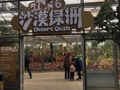 -世界地热博览园