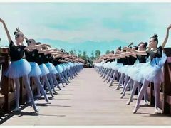 -西安小天鹅艺术团(金花路校区)