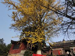 -佛荫寺