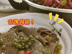 -付掌柜在成都·热炒砂锅集(金禾店)