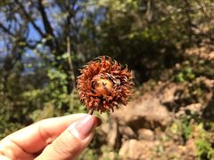 -北京山里寒舍度假酒店