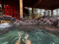 -汉拿山温泉度假酒店
