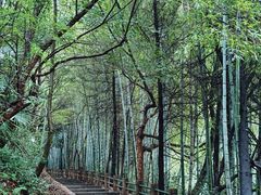 -敬亭山风景名胜区