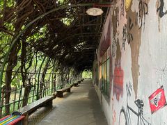 -杭州乐园