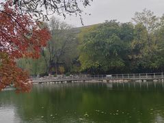 -莲湖公园