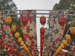 -南汇桃花村