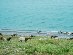 -青海湖国家重点风景名胜区