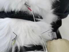 -关爱动物医院·心脏·中兽医·异宠(金牛路分院)