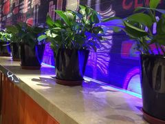 环境-丰茂烤串(钦州北路店)