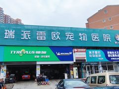 -瑞派雷欧宠物医院·24h夜诊·心脏骨科牙科·全科重症转诊中心(无影山店)