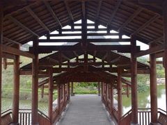 -南宁花花大世界景区