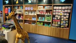 -飞览天下沉浸式飞行体验(北京旗舰店)