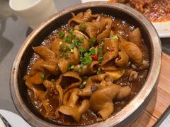 -芙蓉凰花园酒楼