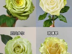 -亭亭鲜花店(中山北路店)