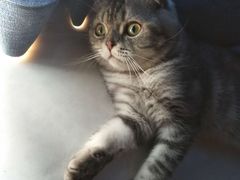 -贝利宠物医院·骨科·眼科·肿瘤转诊中心(南坪诊疗中心)