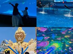 -海合安成都极地海洋公园