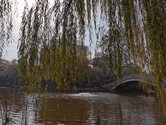 -西安市长乐公园