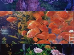 -常州海昌海洋探索馆